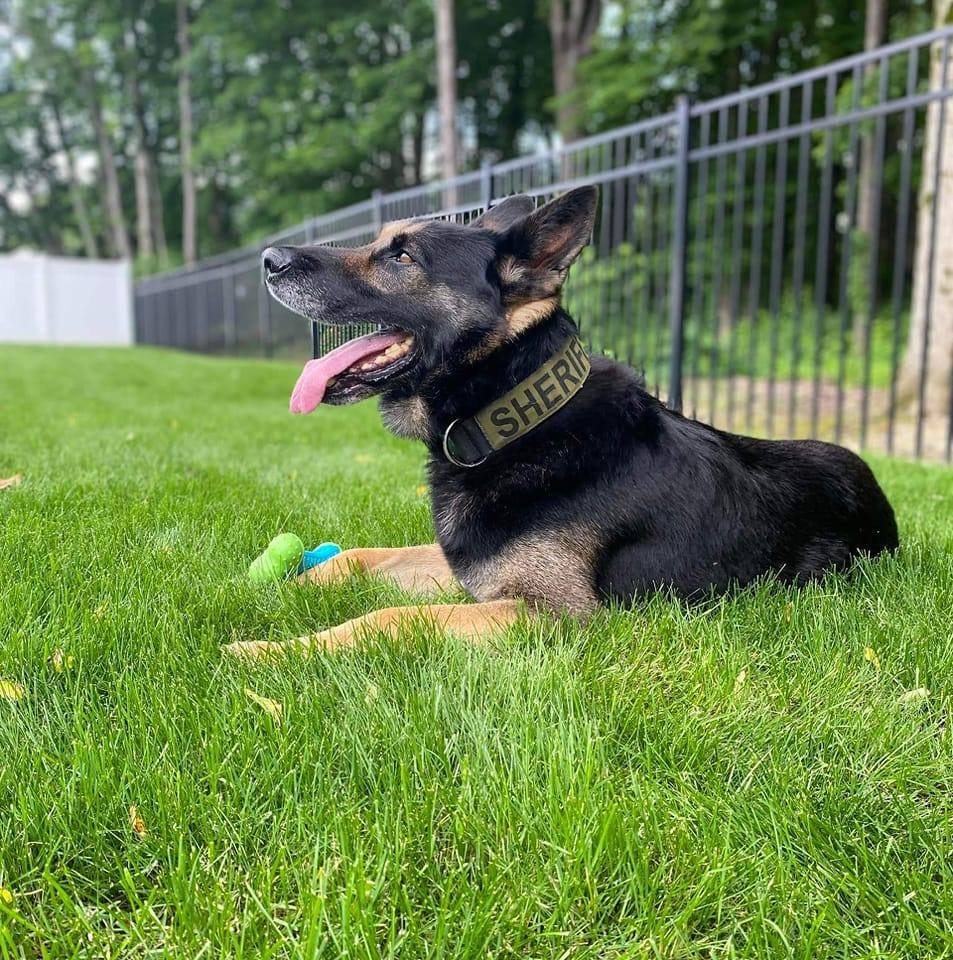Tactical Tracking & Apprehension